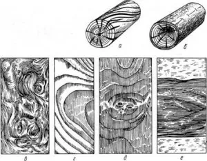 Diferite defecte de lemn, care pot fi întâlnite în timpul preformă