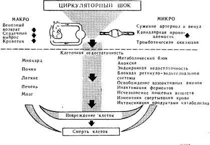 Резюме на токсичен шок