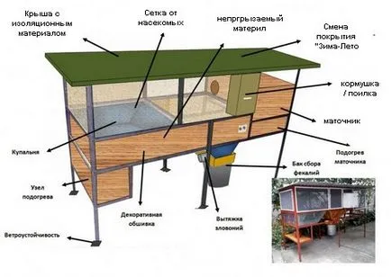 Tenyésztési nutria otthon, mint egy üzleti - részletes videót a tartalmat, sejtgyűjtés