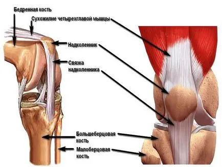 лечение на коляното сухожилие разкъсване на народни начини видео