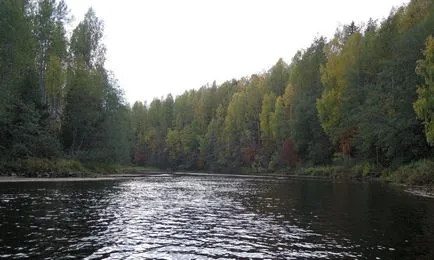 Риболовът на липан на малки реки, справяне за улов на липан през лятото и есента