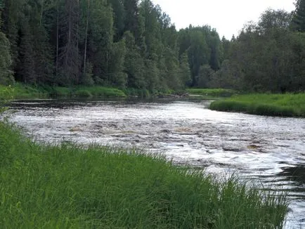 Halászó pér kis folyók, kezelése fogására pér a nyáron és ősszel