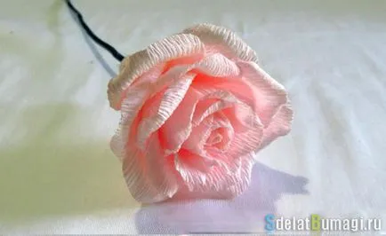 Rózsák hullámpapír