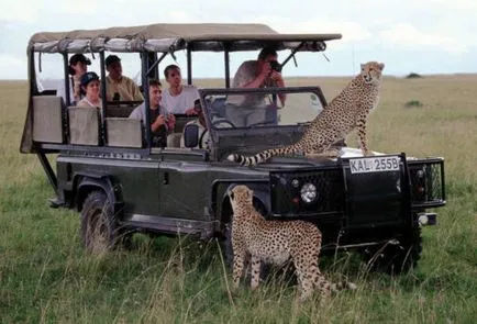 Safari în Africa ce un safari