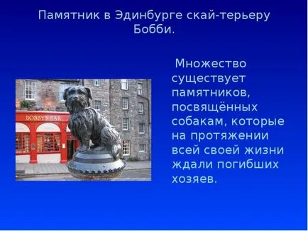 Куче - най-добрият приятел на човека - представяне на доклада, проектът