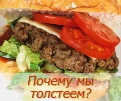 Як провести літню відпустку з користю (відпустка) Як провести літню відпустку з користю