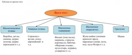 Як залучити бджіл в теплицю і парник поради