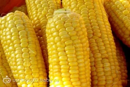 Як при покупці відрізнити сиру кормову кукурудзу від харчової, рецепти корисних і смачних страв в (як при покупці відрізнити сиру кормову кукурудзу від харчової) Як при покупці відрізнити сиру кормову кукурудзу від харчової, рецепти корисних і смачних страв в