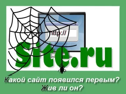 Як перевірити вік домену