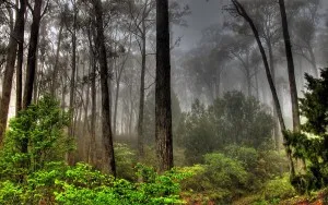 Vis de fum vis interpretare fără foc, negru sau alb ce vise