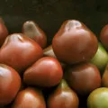 Big Carne de vită de tomate Descrierea f1 și caracterizarea soiurilor, cultivarea și recenzii