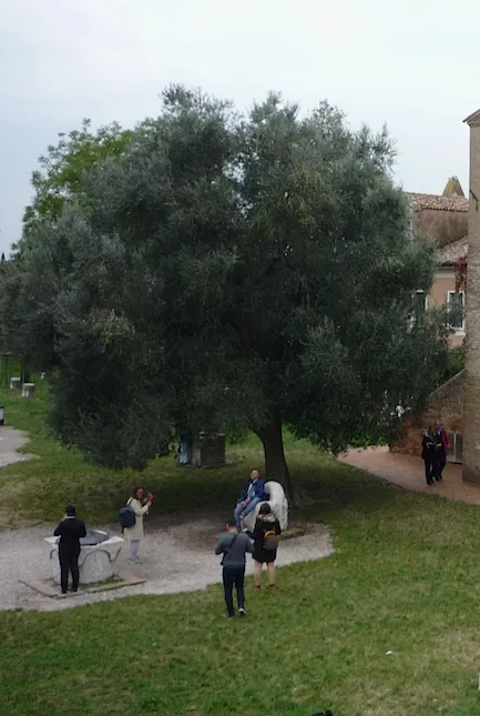 Cel mai bun ghid, insula Torcello (Veneția)