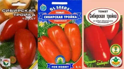 Tomate „troica Siberian“ - comentarii, fotografii, descriere