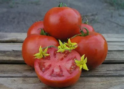 Tomate mahitos f1 (50 poze) creșterea unei tomate, o descriere a soiului, recenzii, video