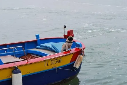 Torcello insulă lângă Veneția, atracții, fotografii