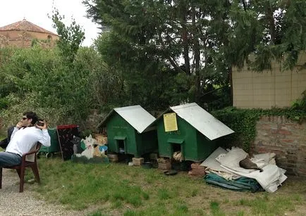 Torcello insulă lângă Veneția, atracții, fotografii