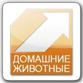 ТВ България - български гледате онлайн телевизионни канали безплатно