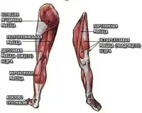 pe exerciții de picior - cele mai bune exerciții pentru mușchii picioarelor