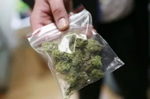 Impactul marijuana asupra sănătății umane