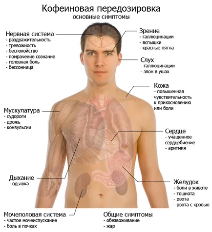 Befolyásolja a kávét egy női test a szív, vérnyomás és a máj