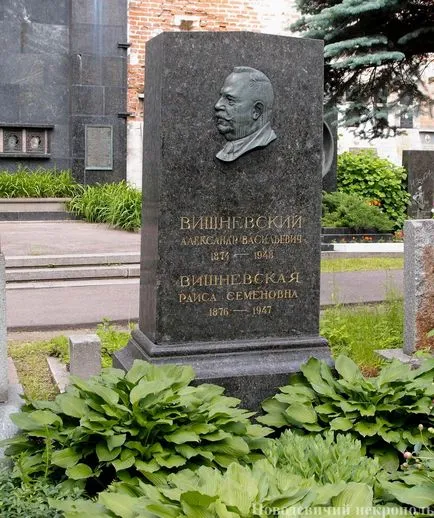 Vishnevskiy Александър Vasilevich 1