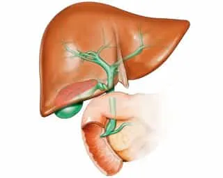 Recovery után antibiotikum bélflóra