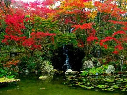 Apa în grădinile japoneze