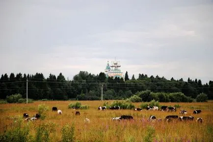 Holmogory harmadik rejtély a hegyek, túl a mindennapi