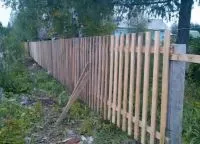 Gardul tăvilor