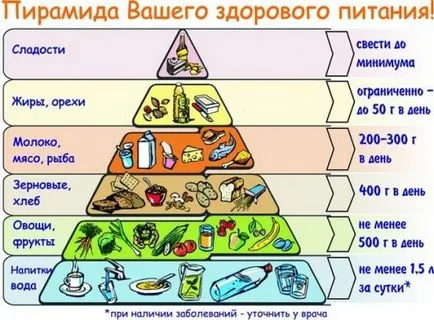 Здравословна храна рецепти за всеки ден, както и съвети за начинаещи