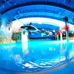 Serena Water Park Helsinkiben - a legnagyobb vízi park Finnország