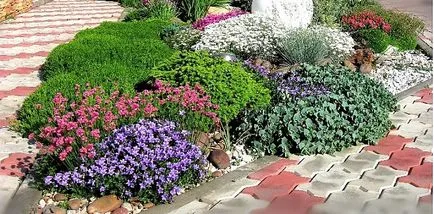 Alpine aluneca mâinile sale alpine grădină cu pietre și plante ornamentale