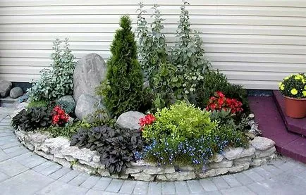 Alpine aluneca mâinile sale alpine grădină cu pietre și plante ornamentale