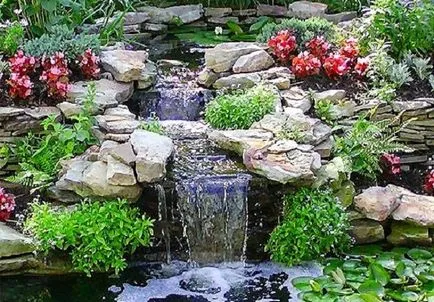 Alpine aluneca mâinile sale alpine grădină cu pietre și plante ornamentale