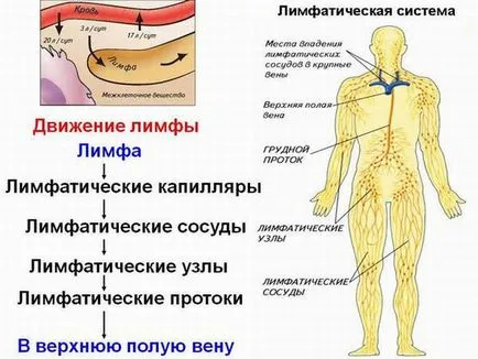 Хардуер и ръчен лимфен дренаж (терапия налягане) преразглеждания, които да се използват в устройства