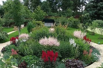 Astilbe kerttervezés - mezőgazdaság, az időzítés, hogy mikor és hol kell ültetni az őszi Astilbe,