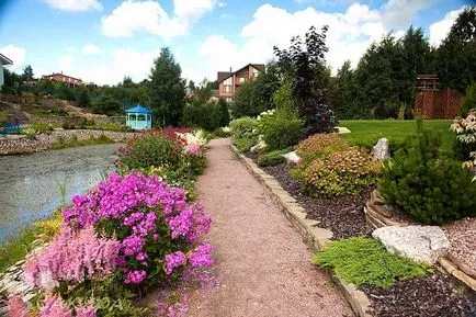 Astilbe kerttervezés - mezőgazdaság, az időzítés, hogy mikor és hol kell ültetni az őszi Astilbe,