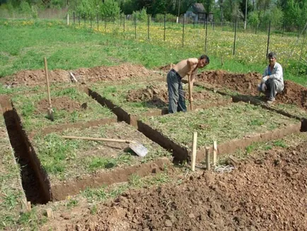 Sauna în grădina propriei sale mâini fotografie