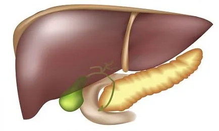 Enterogenous черния дроб и жлъчния мехур причини