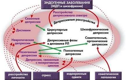 Endogena si psihozele exogene cauze, simptome și tratament