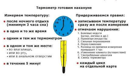 Основна температура по време на ранна бременност преди закъснението