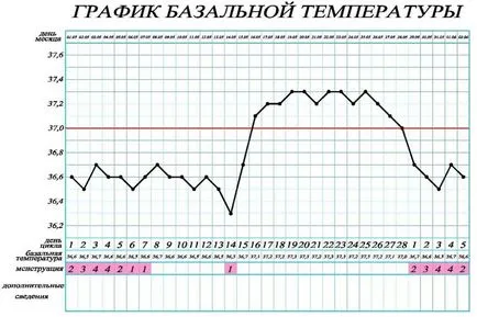 Temperatura bazala in timpul sarcinii devreme, înainte de întârziere