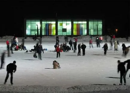 Plan de afaceri pentru un patinoar