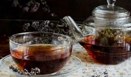 Tea a oregánó és jótékony tulajdonságokkal