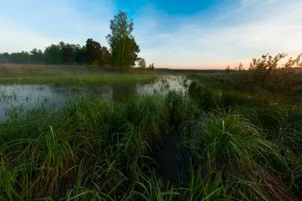 Какво е хистограма