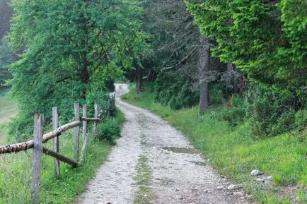 Какво е хистограма