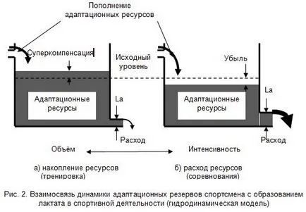 Динамика на фитнес