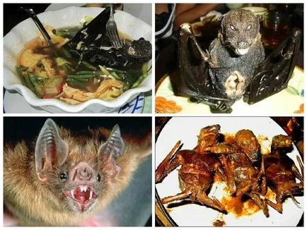 feluri de mâncare exotice din Vietnam