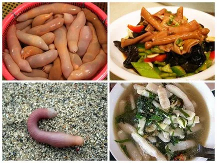feluri de mâncare exotice din Vietnam