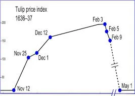 bubble financiar - financiar dicționar smartlaba